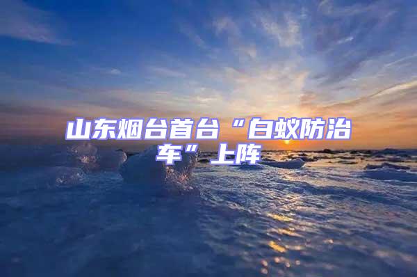 山東煙臺(tái)首臺(tái)“白蟻防治車”上陣