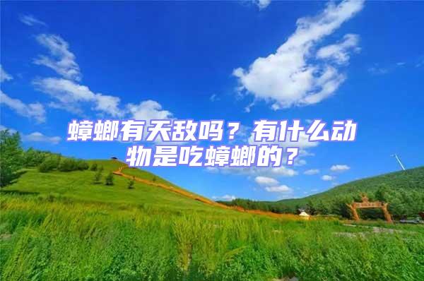 蟑螂有天敵嗎?有什么動(dòng)物是吃蟑螂的?
