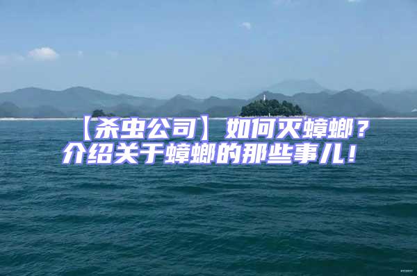【殺蟲公司】如何滅蟑螂?介紹關(guān)于蟑螂的那些事兒!