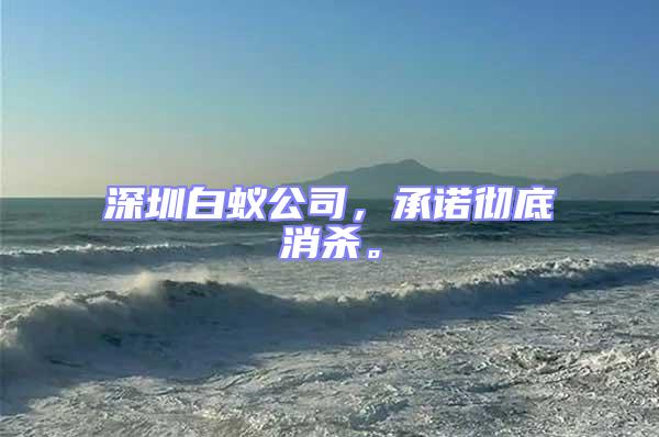深圳白蟻公司,承諾徹底消殺。