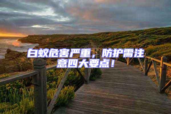 白蟻危害嚴重，防護需注意四大要點！