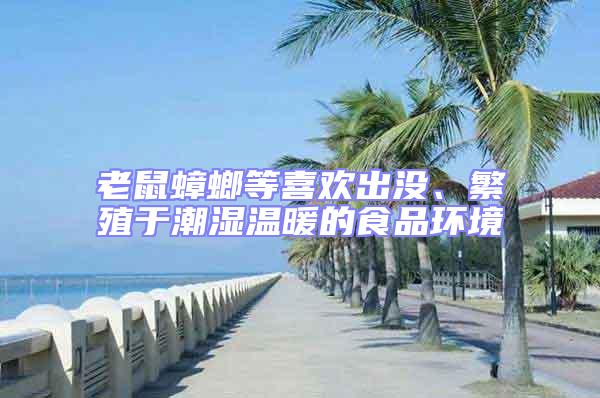 老鼠蟑螂等喜歡出沒、繁殖于潮濕溫暖的食品環(huán)境