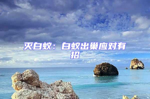 滅白蟻:白蟻出巢應(yīng)對有招