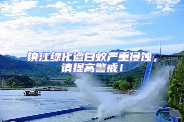 鎮江綠化遭白蟻嚴重侵蝕,請提高警戒!