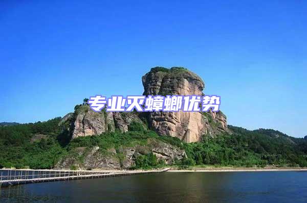 專業(yè)滅蟑螂優(yōu)勢(shì)