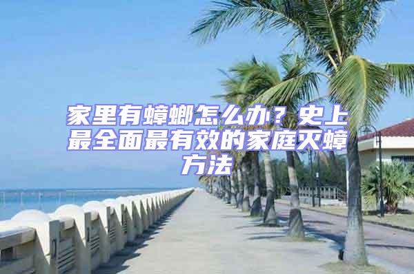 家里有蟑螂怎么辦?史上最全面最有效的家庭滅蟑方法