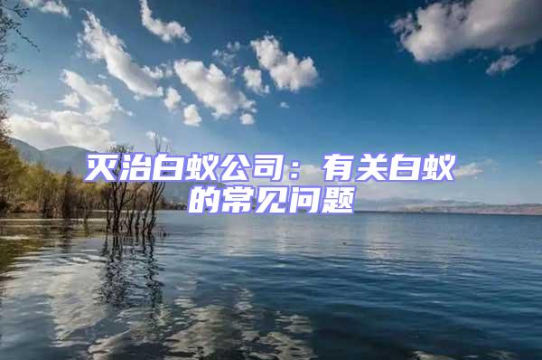 滅治白蟻公司:有關(guān)白蟻的常見問題