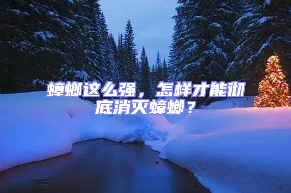 蟑螂這么強，怎樣才能徹底消滅蟑螂？