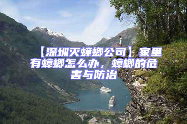 【深圳滅蟑螂公司】家里有蟑螂怎么辦,蟑螂的危害與防治