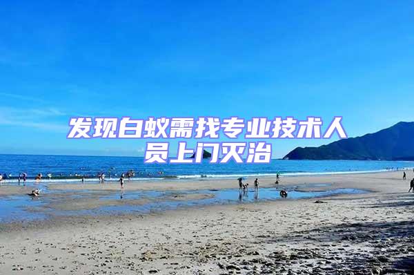 發(fā)現(xiàn)白蟻需找專業(yè)技術(shù)人員上門滅治
