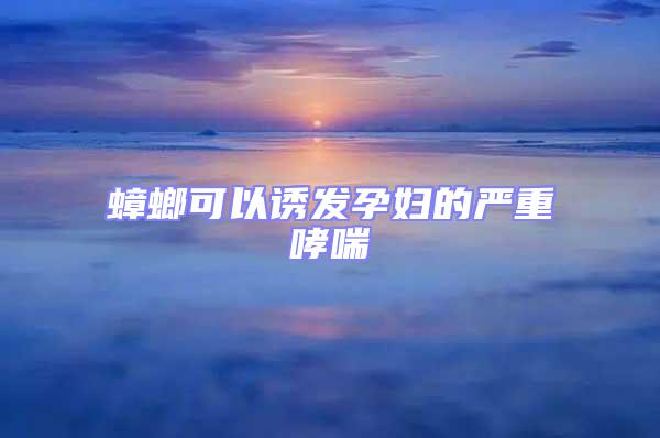 蟑螂可以誘發(fā)孕婦的嚴重哮喘