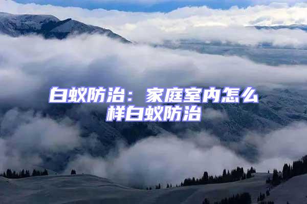 白蟻防治:家庭室內(nèi)怎么樣白蟻防治