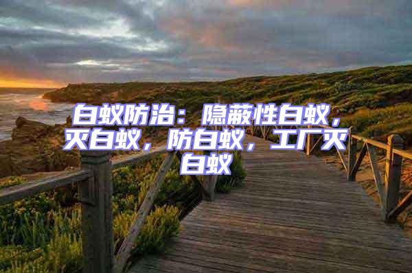 白蟻防治:隱蔽性白蟻,滅白蟻,防白蟻,工廠滅白蟻