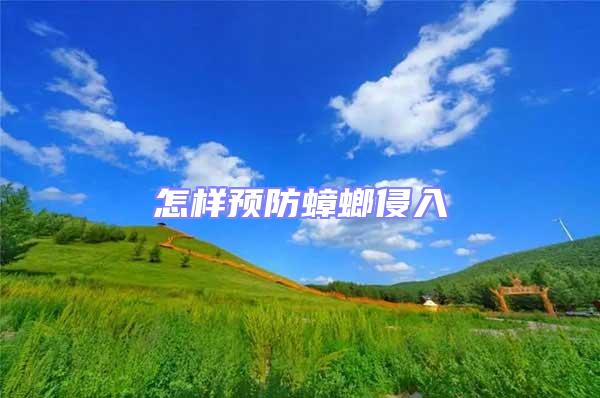 怎樣預(yù)防蟑螂侵入