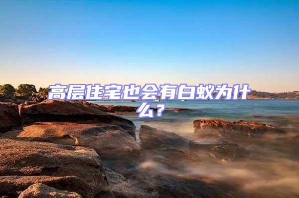 高層住宅也會有白蟻為什么?