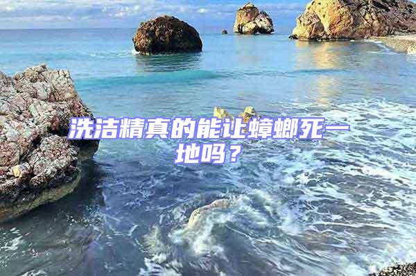 洗潔精真的能讓蟑螂死一地嗎？
