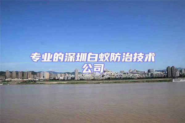 專(zhuān)業(yè)的深圳白蟻防治技術(shù)公司