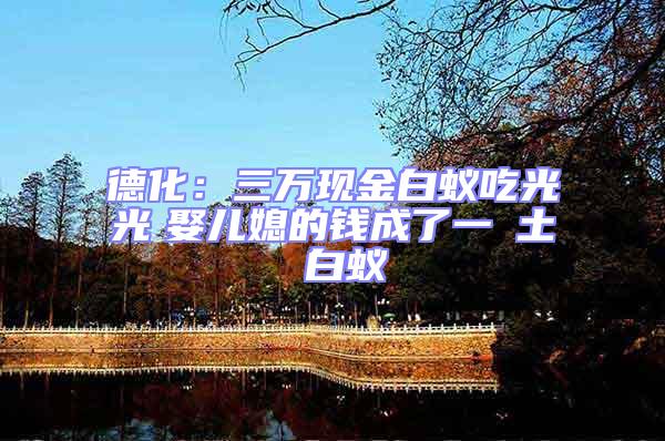 德化：三萬現(xiàn)金白蟻吃光光　娶兒媳的錢成了一抔土 白蟻