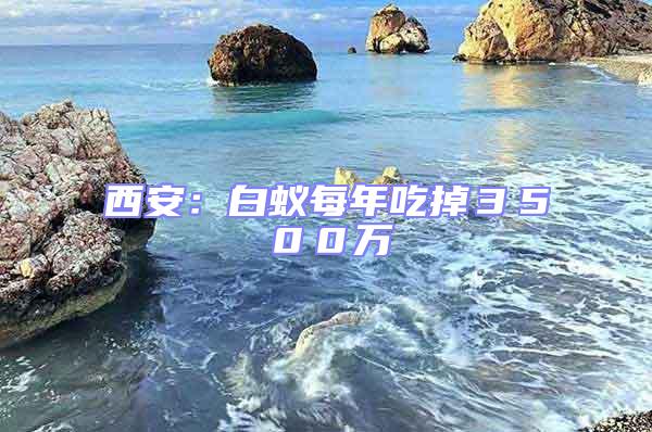 西安：白蟻每年吃掉３５００萬(wàn)