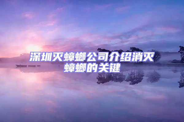 深圳滅蟑螂公司介紹消滅蟑螂的關(guān)鍵