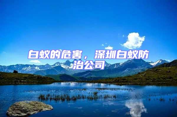 白蟻的危害,深圳白蟻防治公司