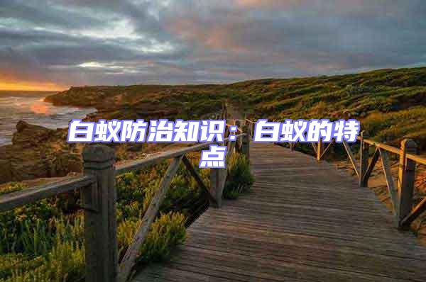 白蟻防治知識(shí):白蟻的特點(diǎn)