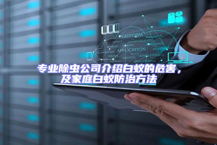 專業除蟲公司介紹白蟻的危害,及家庭白蟻防治方法