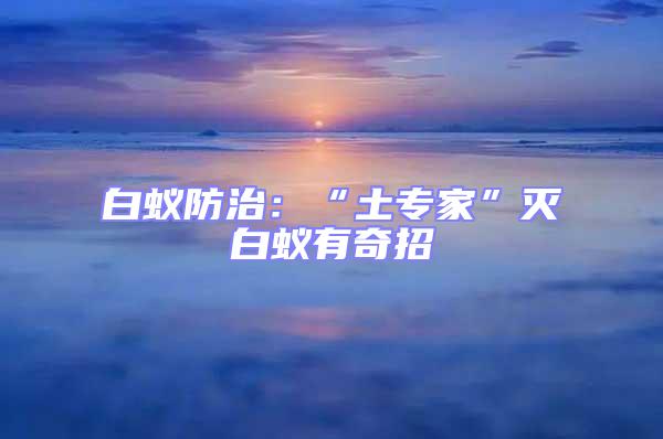 白蟻防治:“土專家”滅白蟻有奇招