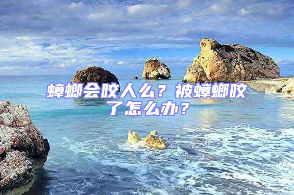蟑螂會(huì)咬人么?被蟑螂咬了怎么辦?