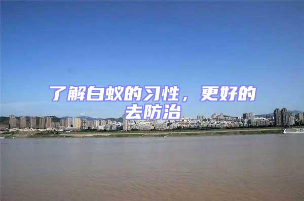 了解白蟻的習性,更好的去防治