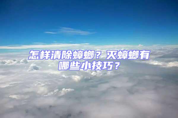 怎樣清除蟑螂？滅蟑螂有哪些小技巧？