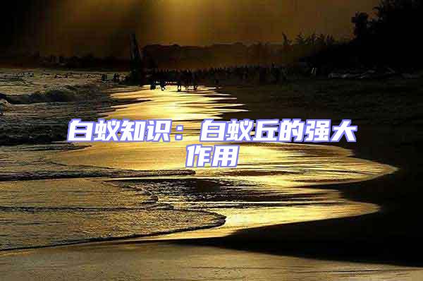 白蟻知識:白蟻丘的強(qiáng)大作用