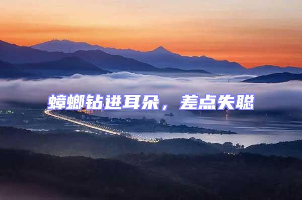 蟑螂鉆進耳朵,差點失聰