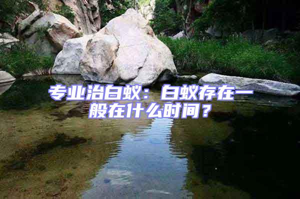 專業(yè)治白蟻：白蟻存在一般在什么時間？