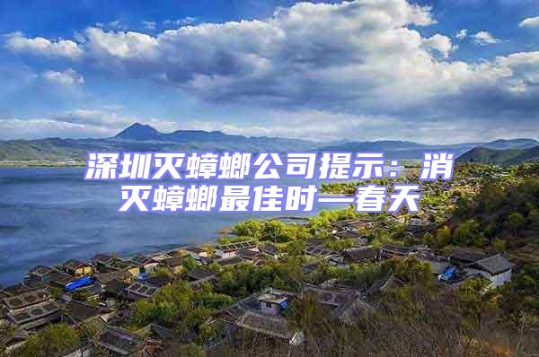 深圳滅蟑螂公司提示:消滅蟑螂最佳時(shí)—春天