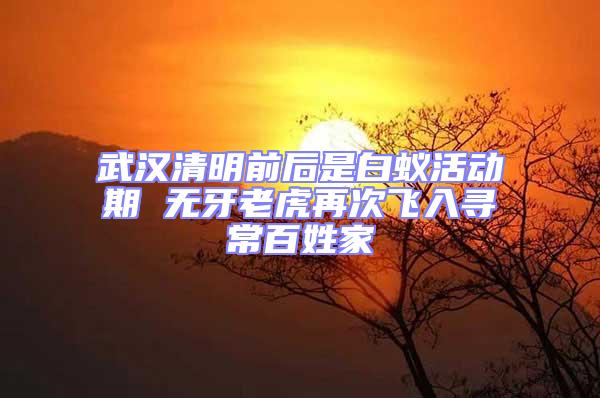 武漢清明前后是白蟻活動(dòng)期 無(wú)牙老虎再次飛入尋常百姓家