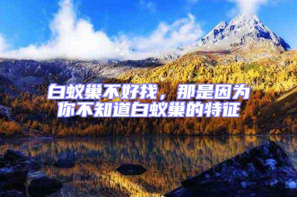 白蟻巢不好找,那是因?yàn)槟悴恢腊紫伋驳奶卣?/></p>
									<p style=