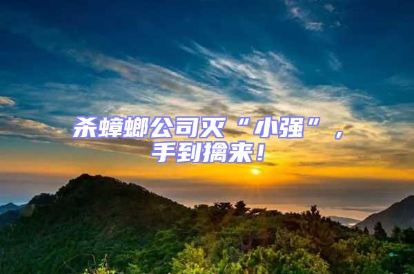 殺蟑螂公司滅“小強(qiáng)”,手到擒來!