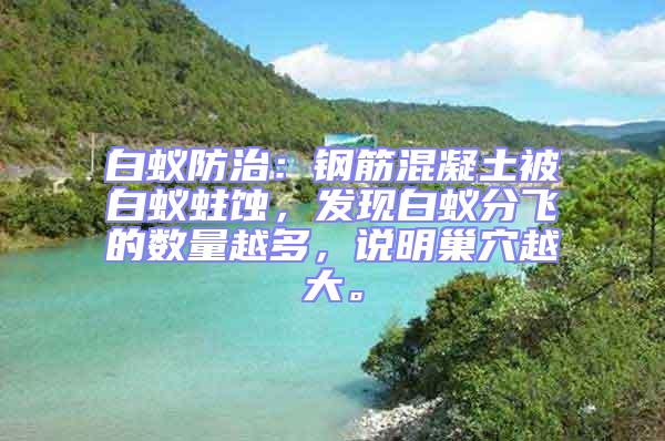 白蟻防治：鋼筋混凝土被白蟻蛀蝕，發(fā)現(xiàn)白蟻分飛的數(shù)量越多，說(shuō)明巢穴越大。