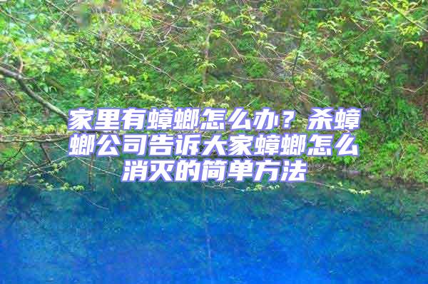 家里有蟑螂怎么辦?殺蟑螂公司告訴大家蟑螂怎么消滅的簡單方法