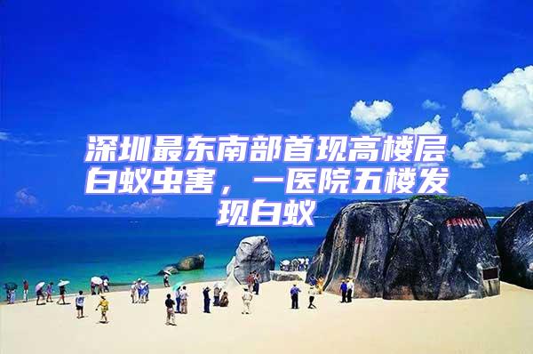深圳最東南部首現(xiàn)高樓層白蟻蟲(chóng)害，一醫(yī)院五樓發(fā)現(xiàn)白蟻