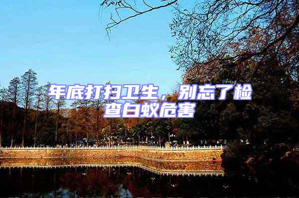 年底打掃衛生,別忘了檢查白蟻危害