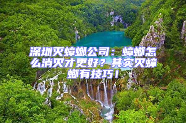 深圳滅蟑螂公司:蟑螂怎么消滅才更好?其實滅蟑螂有技巧!