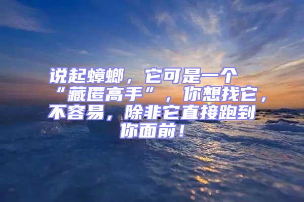 說起蟑螂,它可是一個“藏匿高手”,你想找它,不容易,除非它直接跑到你面前!