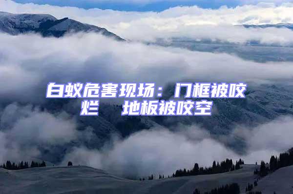 白蟻危害現(xiàn)場(chǎng):門框被咬爛  地板被咬空
