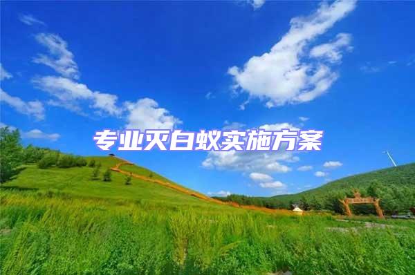 專業(yè)滅白蟻實施方案