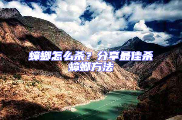 蟑螂怎么殺?分享最佳殺蟑螂方法