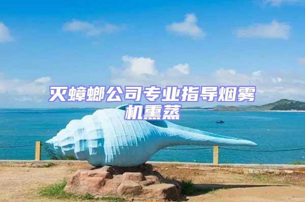 滅蟑螂公司專業(yè)指導(dǎo)煙霧機(jī)熏蒸