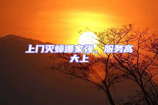 上門滅蟑哪家強,服務高大上