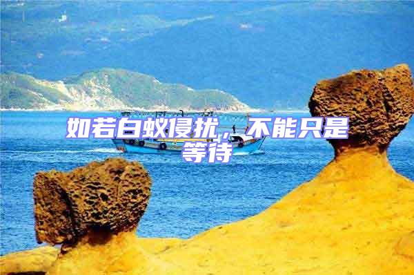 如若白蟻侵擾，不能只是等待